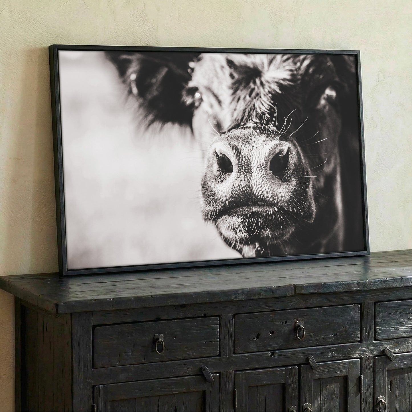 Black Angus Cow Closeup Wall Art Teri James Photography