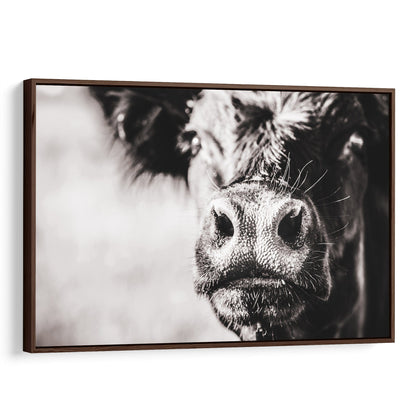 Black Angus Cow Closeup Canvas-Walnut Frame / 12 x 18 Inches Wall Art Teri James Photography