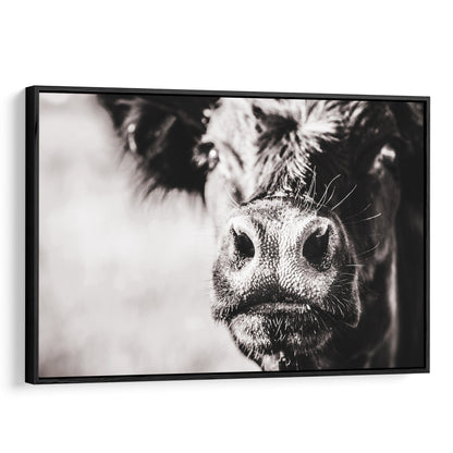 Black Angus Cow Closeup Canvas-Black Frame / 12 x 18 Inches Wall Art Teri James Photography