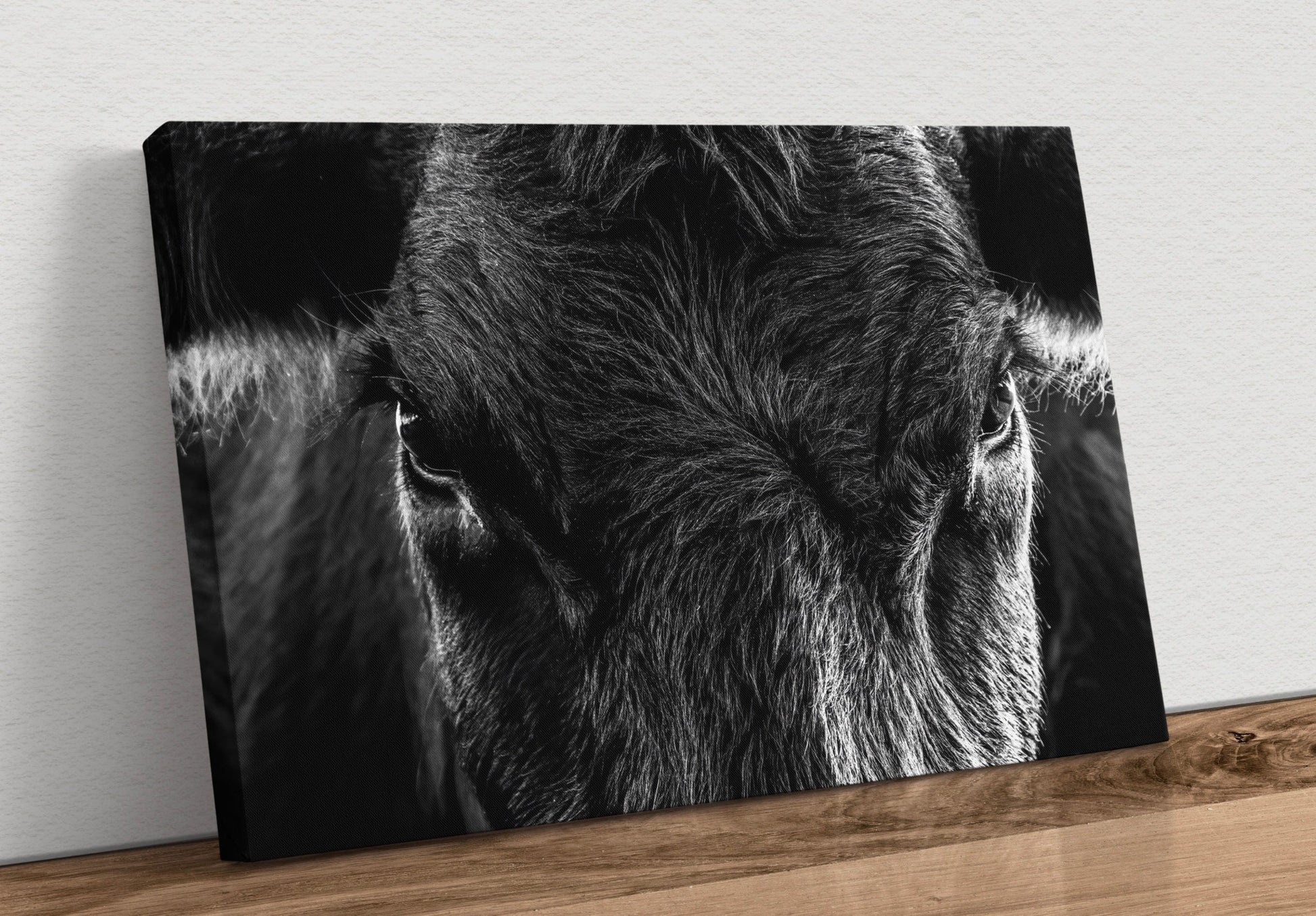 Black Angus Extreme Closeup in Black & White Canvas-Unframed / 12 x 18 Inches Wall Art Teri James Photography