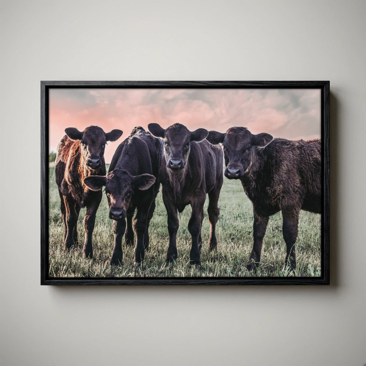 Black Angus Nursery Decor – Playful Calf Print