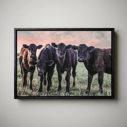 Black Angus Nursery Decor – Playful Calf Print