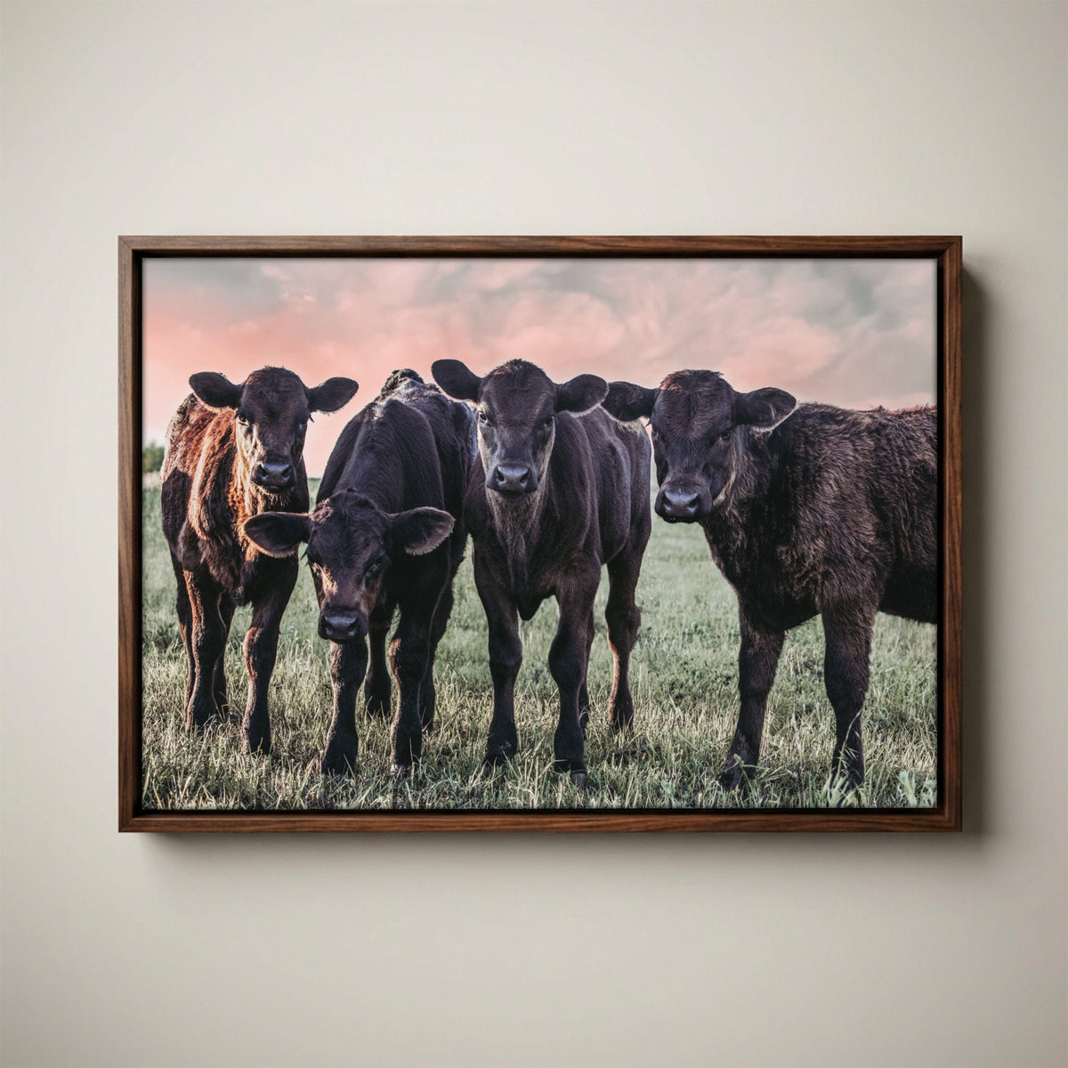 Black Angus Nursery Decor – Playful Calf Print