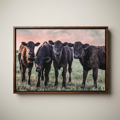 Black Angus Nursery Decor – Playful Calf Print