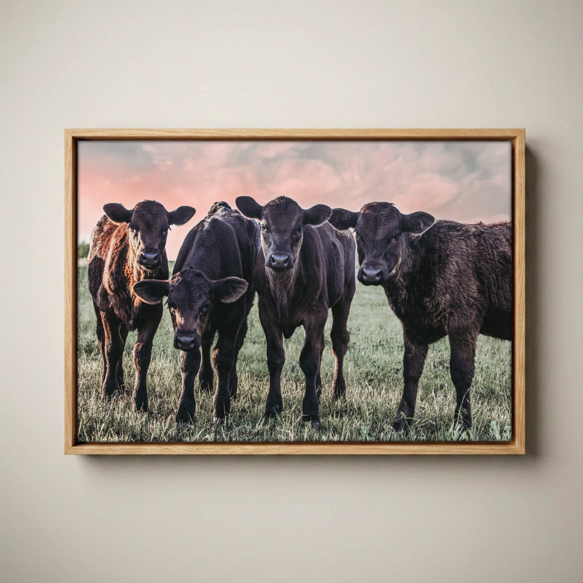 Black Angus Nursery Decor – Playful Calf Print Canvas-Natural Oak Float Frame / 12 x 18 Inches