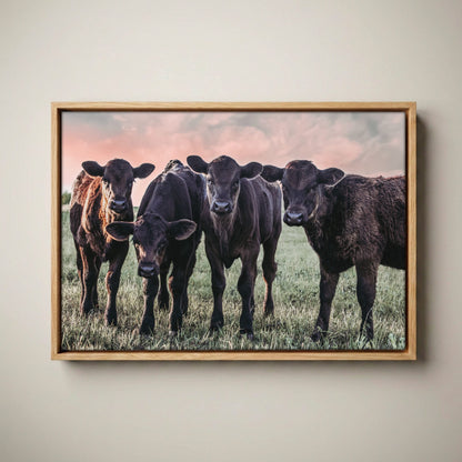 Black Angus Nursery Decor – Playful Calf Print Canvas-Natural Oak Float Frame / 12 x 18 Inches
