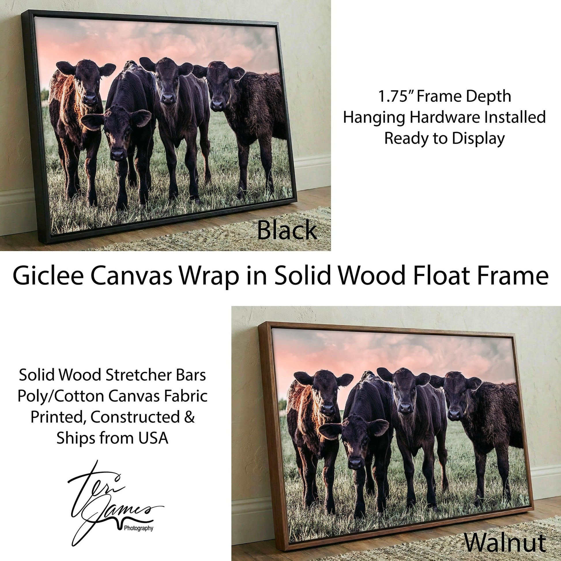 Black Angus Nursery Decor – Playful Calf Prints Rustic Farm Animal Wall Art Canvas-Black Frame / 12 x 18 Inches Wall Art Teri James Photography