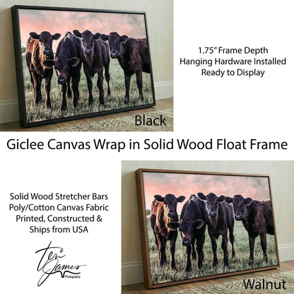 Black Angus Nursery Decor – Playful Calf Prints Rustic Farm Animal Wall Art Canvas-Black Frame / 12 x 18 Inches Wall Art Teri James Photography