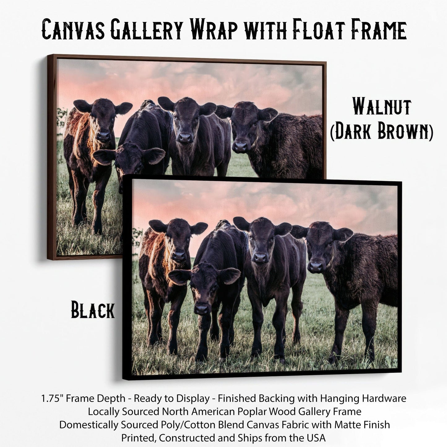 Black Angus Nursery Decor Canvas-Black Frame / 12 x 18 Inches Wall Art Teri James Photography