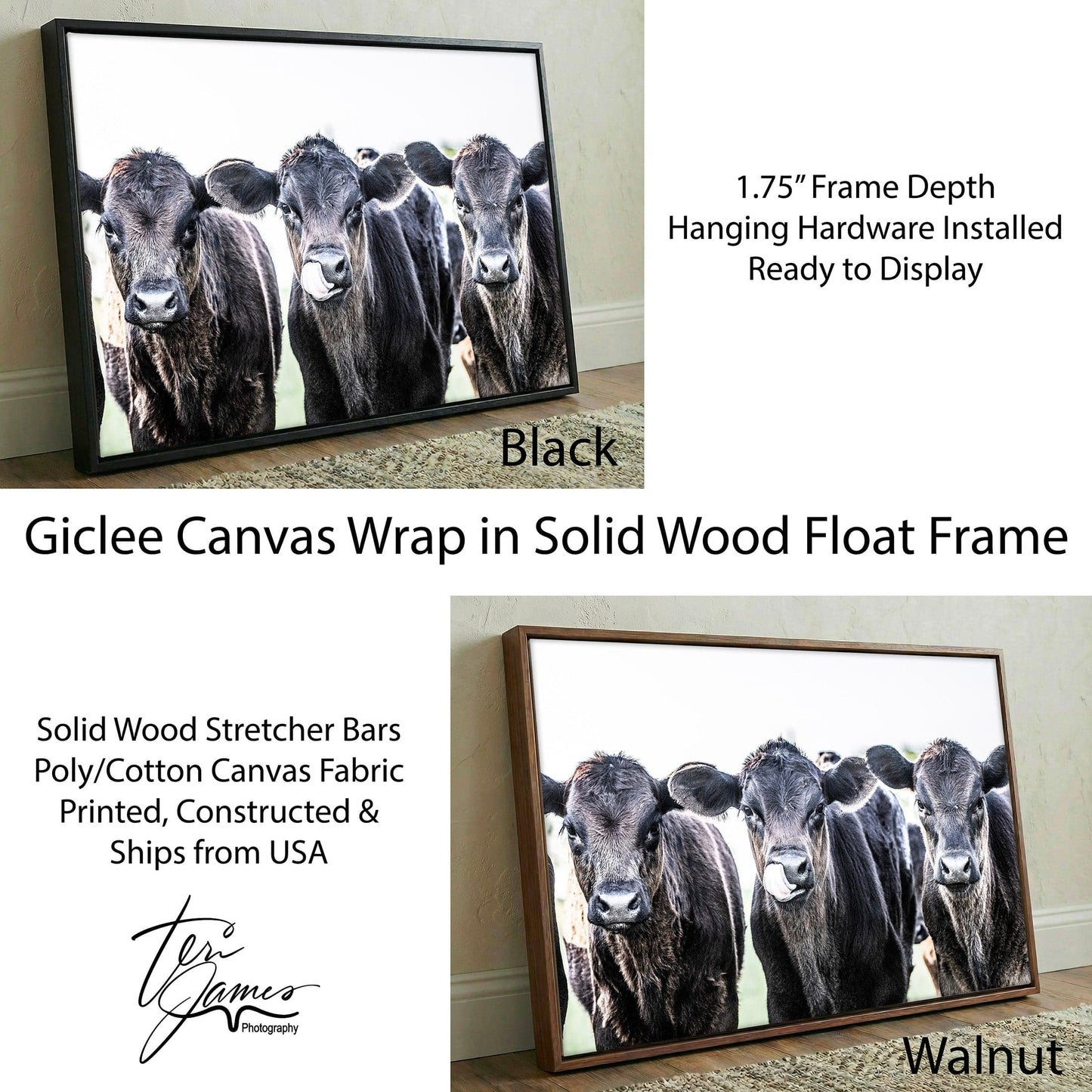 Black Angus Nursery Decor - Western Nursery Art Rustic Baby Room Decor Canvas Print Canvas-Black Frame / 12 x 18 Inches Wall Art Teri James Photography