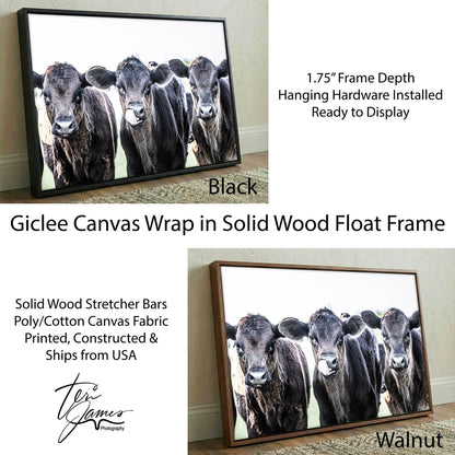 Black Angus Nursery Decor - Western Nursery Art Rustic Baby Room Decor Canvas Print Canvas-Black Frame / 12 x 18 Inches Wall Art Teri James Photography