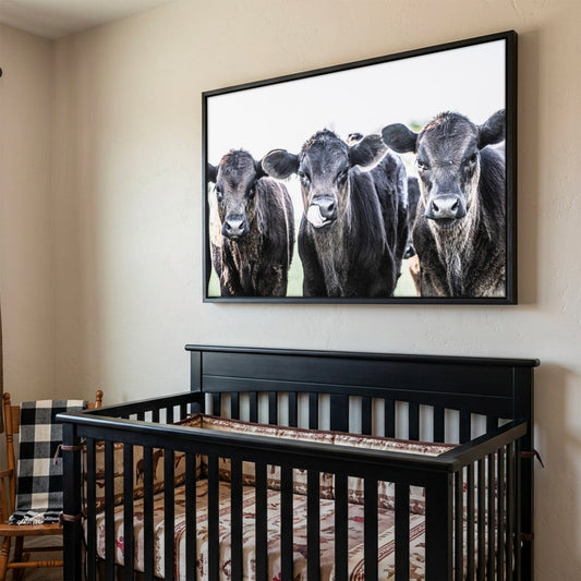 Black Angus Nursery Decor - Western Nursery Art Rustic Baby Room Decor Canvas Print Wall Art Teri James Photography