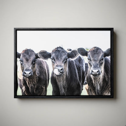 Black Angus Nursery Decor - Western Nursery Art