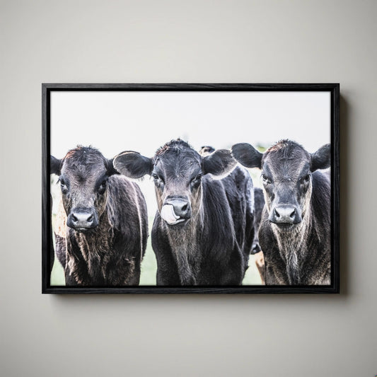 Black Angus Nursery Decor - Western Nursery Art