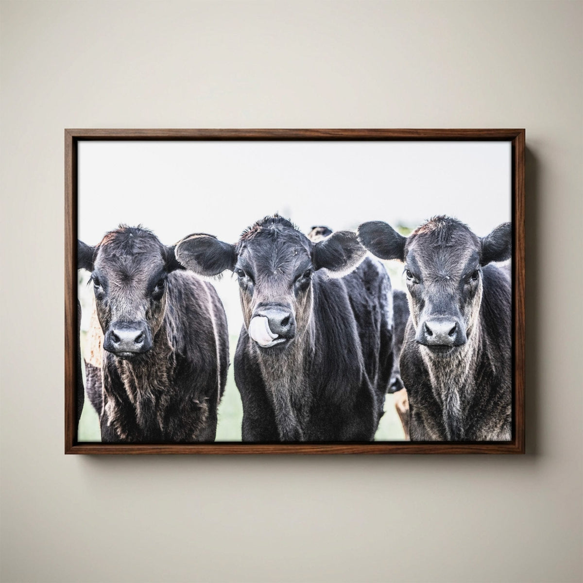 Black Angus Nursery Decor - Western Nursery Art