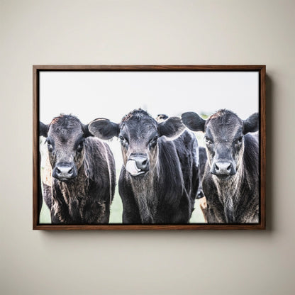 Black Angus Nursery Decor - Western Nursery Art
