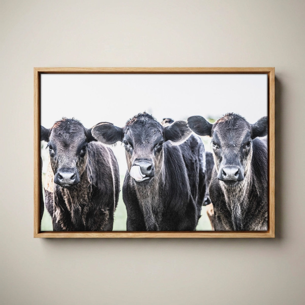 Black Angus Nursery Decor - Western Nursery Art Canvas-Natural Oak Float Frame / 12 x 18 Inches