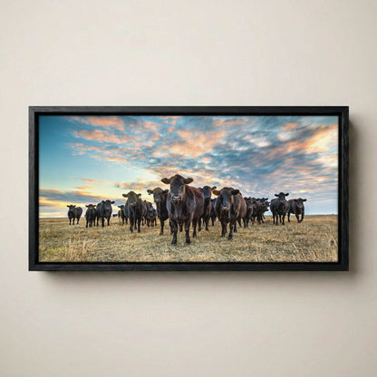 Black Angus Panoramic Art - Western Canvas