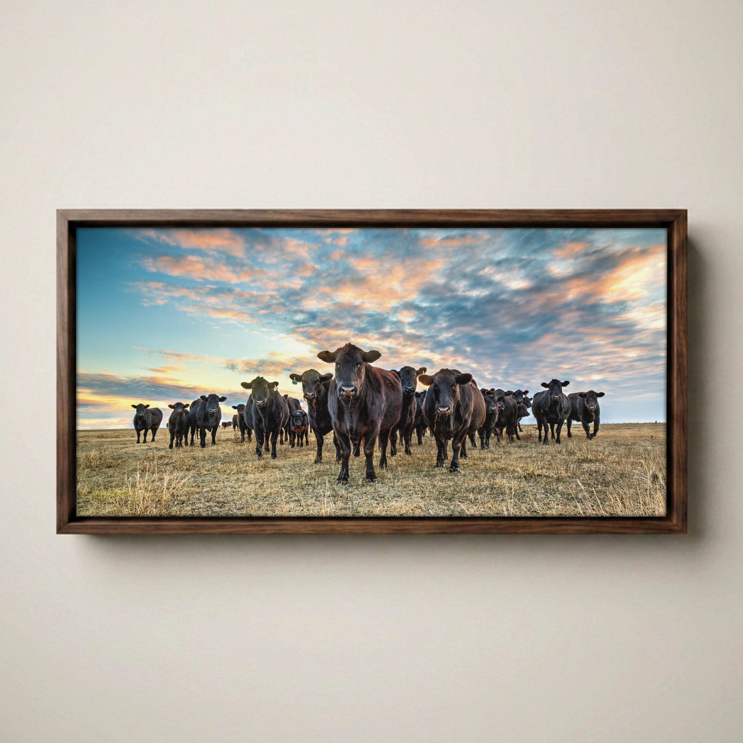 Black Angus Panoramic Art - Western Canvas