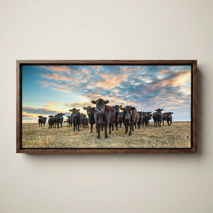 Black Angus Panoramic Art - Western Canvas