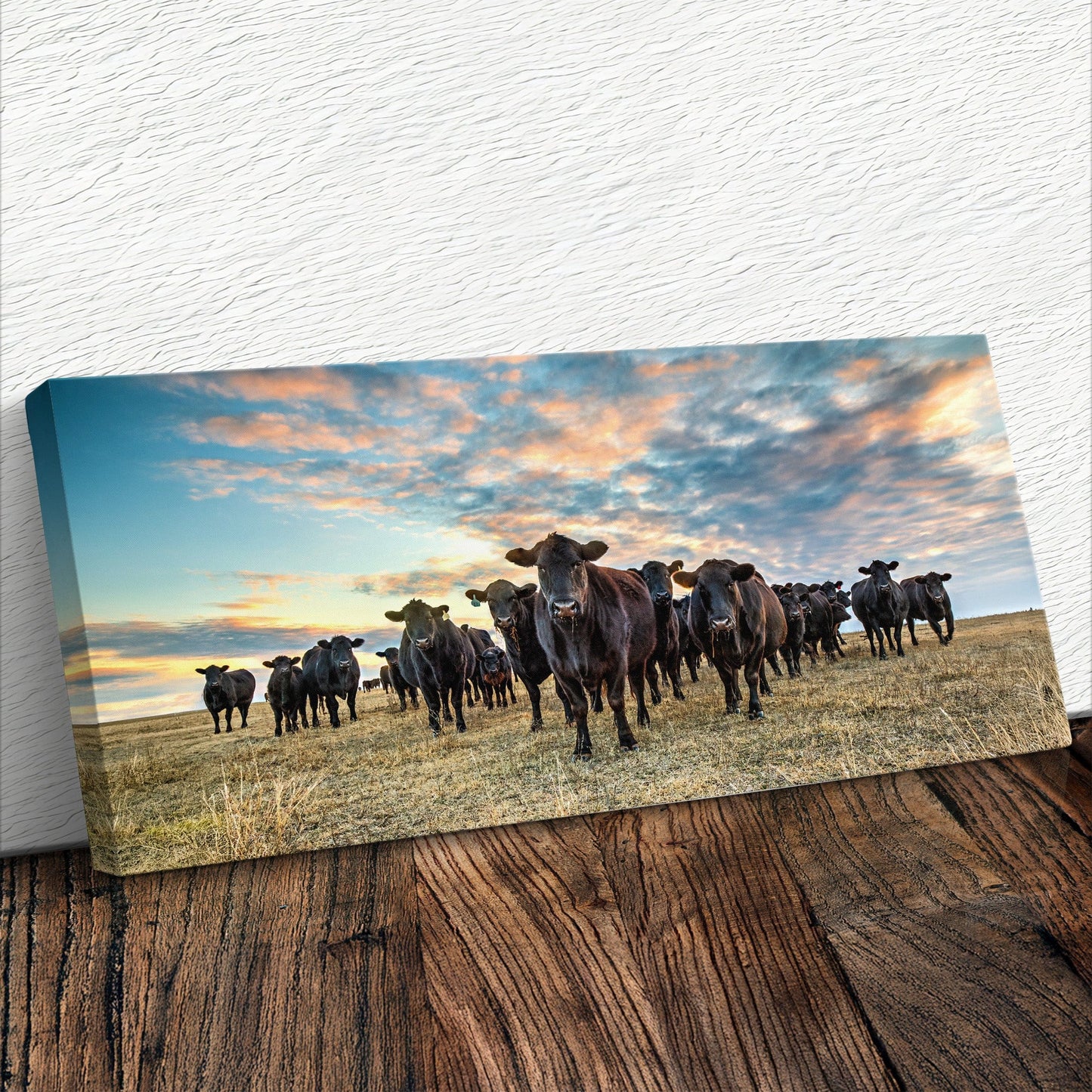 Black Angus Panoramic Art - Western Panorama Canvas Canvas-Unframed / 10 x 20 Inches Wall Art Teri James Photography