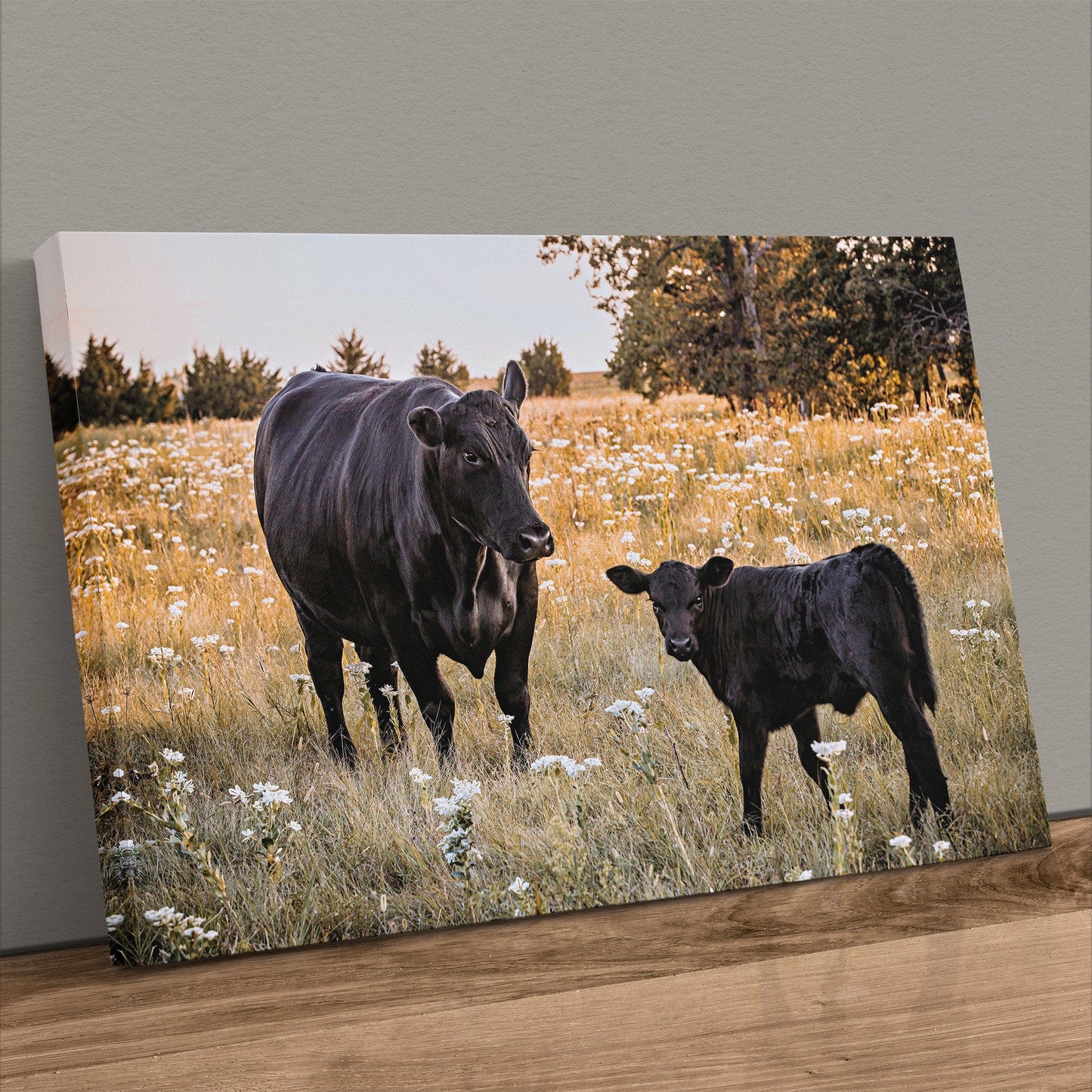 Black Angus Ranch Home Decor Canvas-Unframed / 12 x 18 Inches Wall Art Teri James Photography
