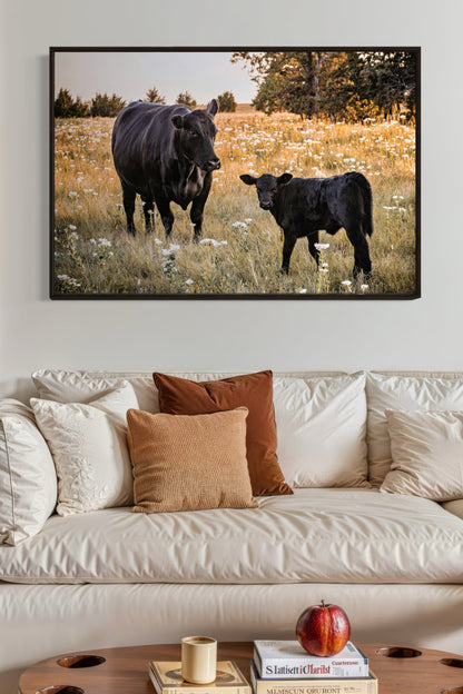 Black Angus Ranch Home Decor Wall Art Teri James Photography