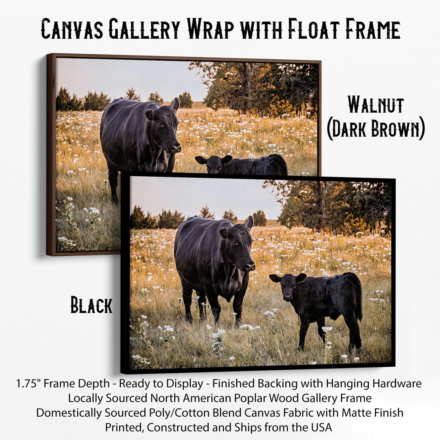 Black Angus Ranch Home Decor Canvas-Black Frame / 12 x 18 Inches Wall Art Teri James Photography