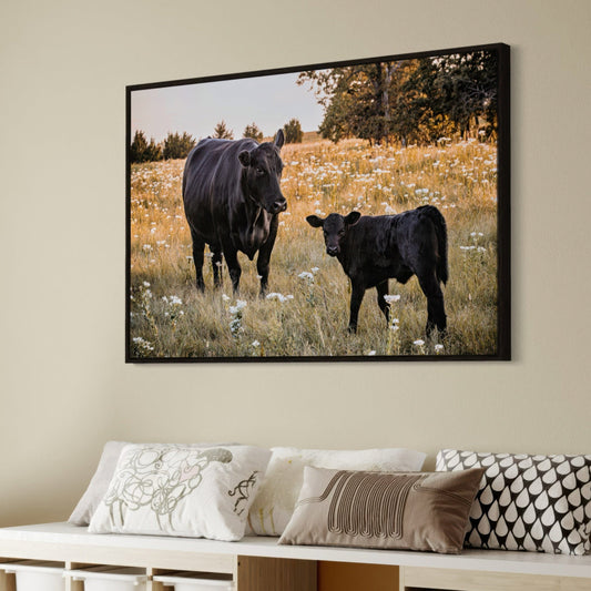 Black Angus Ranch Home Decor Wall Art Teri James Photography