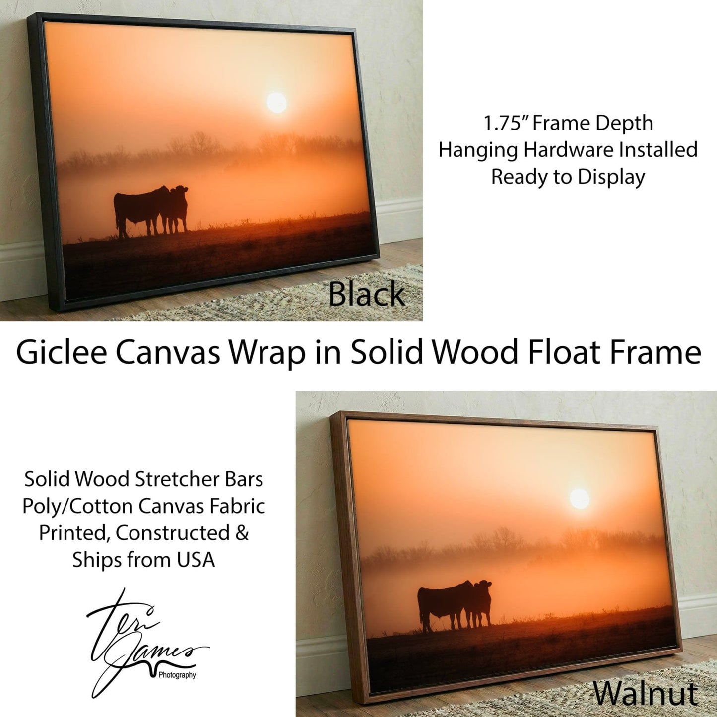Black Angus Sunrise Print – Orange Ranch Style Wall Decor Canvas-Black Frame / 12 x 18 Inches Wall Art Teri James Photography