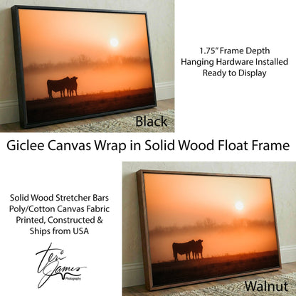 Black Angus Sunrise Print – Orange Ranch Style Wall Decor Canvas-Black Frame / 12 x 18 Inches Wall Art Teri James Photography