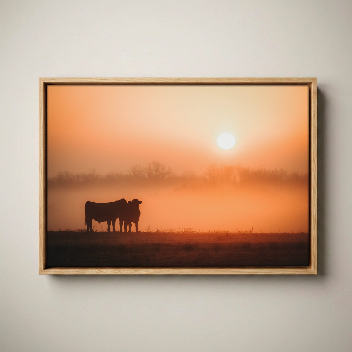 Black Angus Sunrise Print – Ranch Style Wall Decor Canvas-Natural Oak Float Frame / 12 x 18 Inches