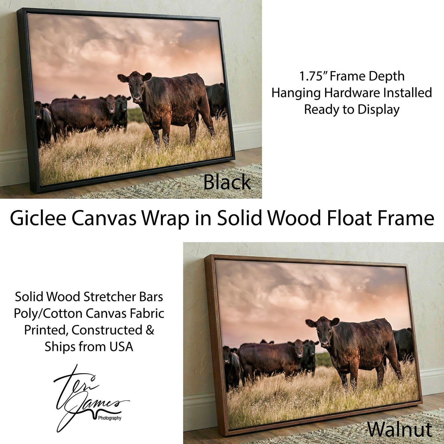 Black Angus Wall Art – Angus Cattle Canvas Sunset Print Rustic Ranch Decor Canvas-Black Frame / 12 x 18 Inches Wall Art Teri James Photography