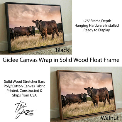 Black Angus Wall Art – Angus Cattle Canvas Sunset Print Rustic Ranch Decor Canvas-Black Frame / 12 x 18 Inches Wall Art Teri James Photography