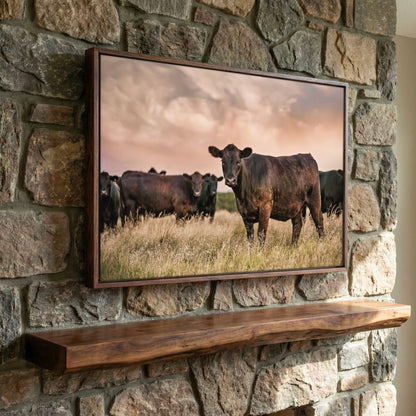 Black Angus Wall Art – Angus Cattle Canvas Sunset Print Rustic Ranch Decor Canvas-Walnut Frame / 12 x 18 Inches Wall Art Teri James Photography