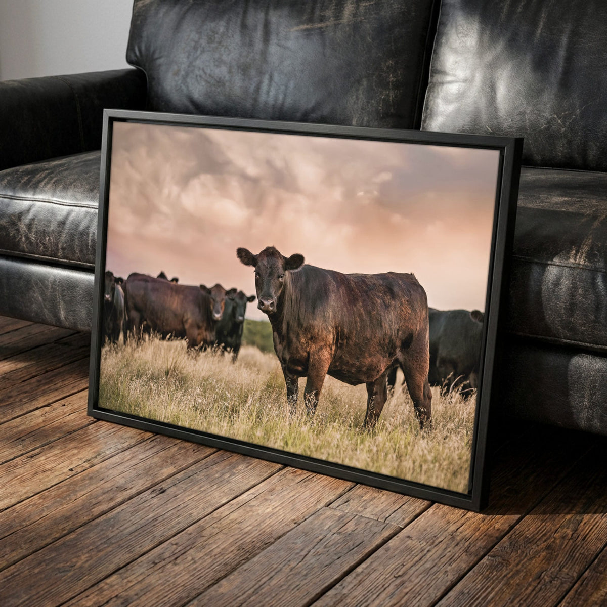 Black Angus Wall Art – Angus Cattle Canvas Canvas-Black Frame / 12 x 18 Inches