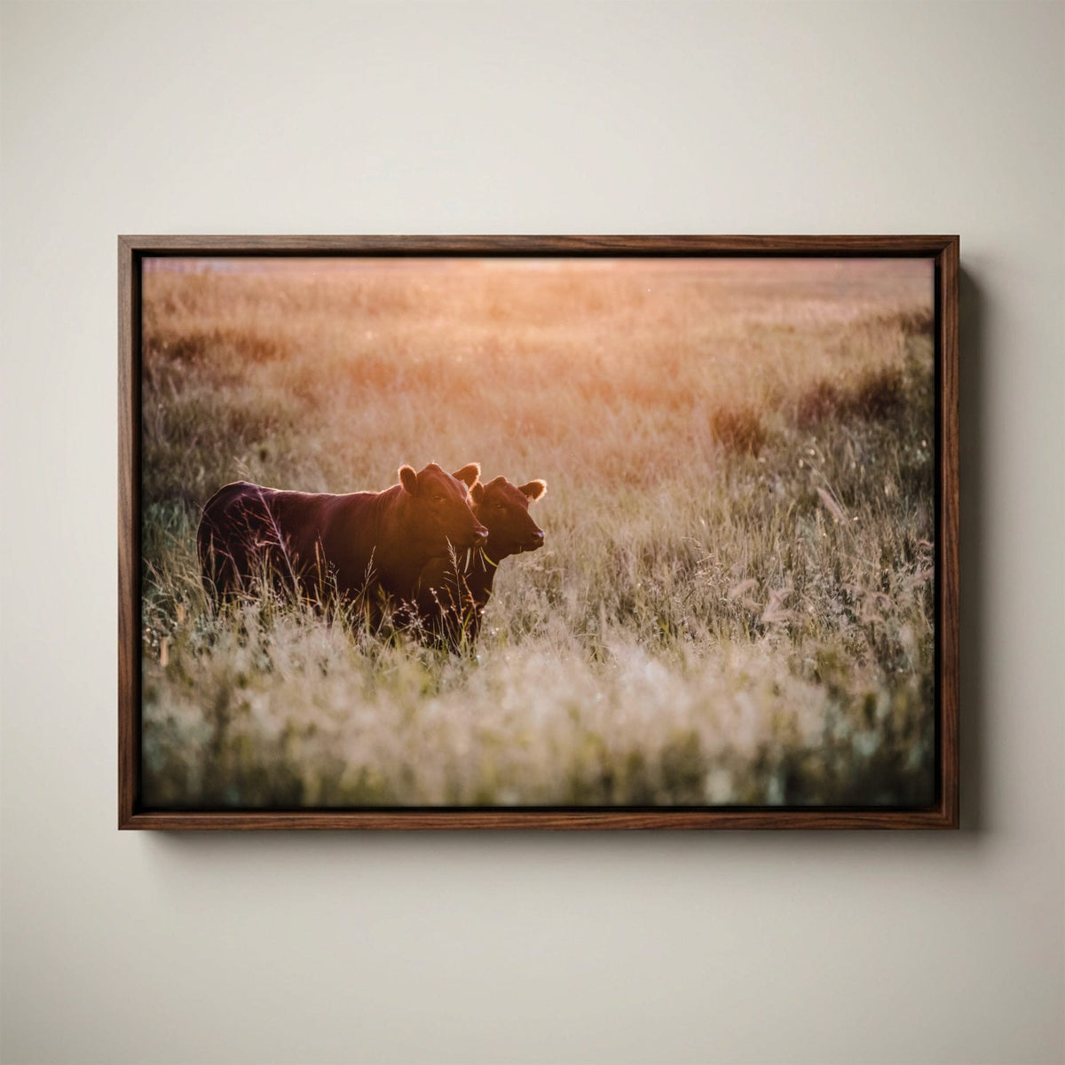 Black Angus Wall Art - Large Rustic Western Canvas