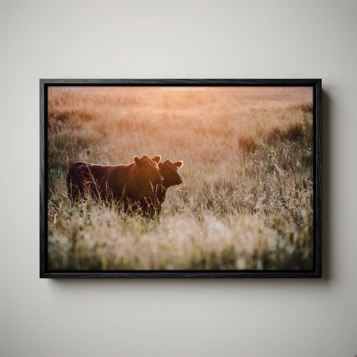 Black Angus Wall Art - Large Rustic Western Canvas