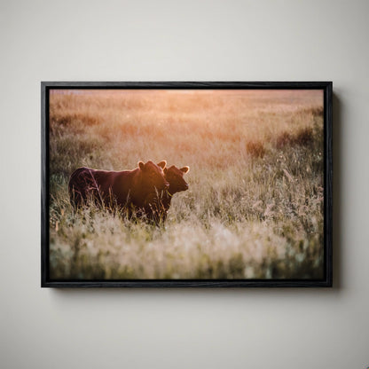 Black Angus Wall Art - Large Rustic Western Canvas