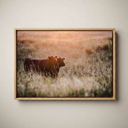 Black Angus Wall Art - Large Rustic Western Canvas Canvas-Natural Oak Float Frame / 12 x 18 Inches
