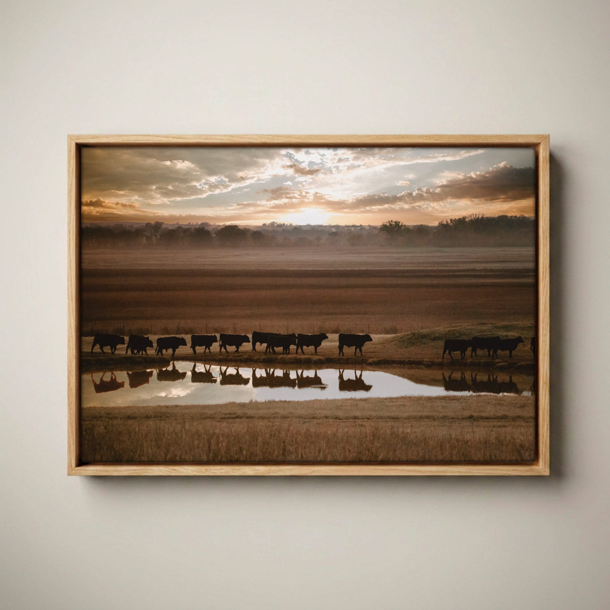 Black Angus Wall Art - Rustic Animal Print With Brown Tone Canvas-Natural Oak Float Frame / 12 x 18 Inches