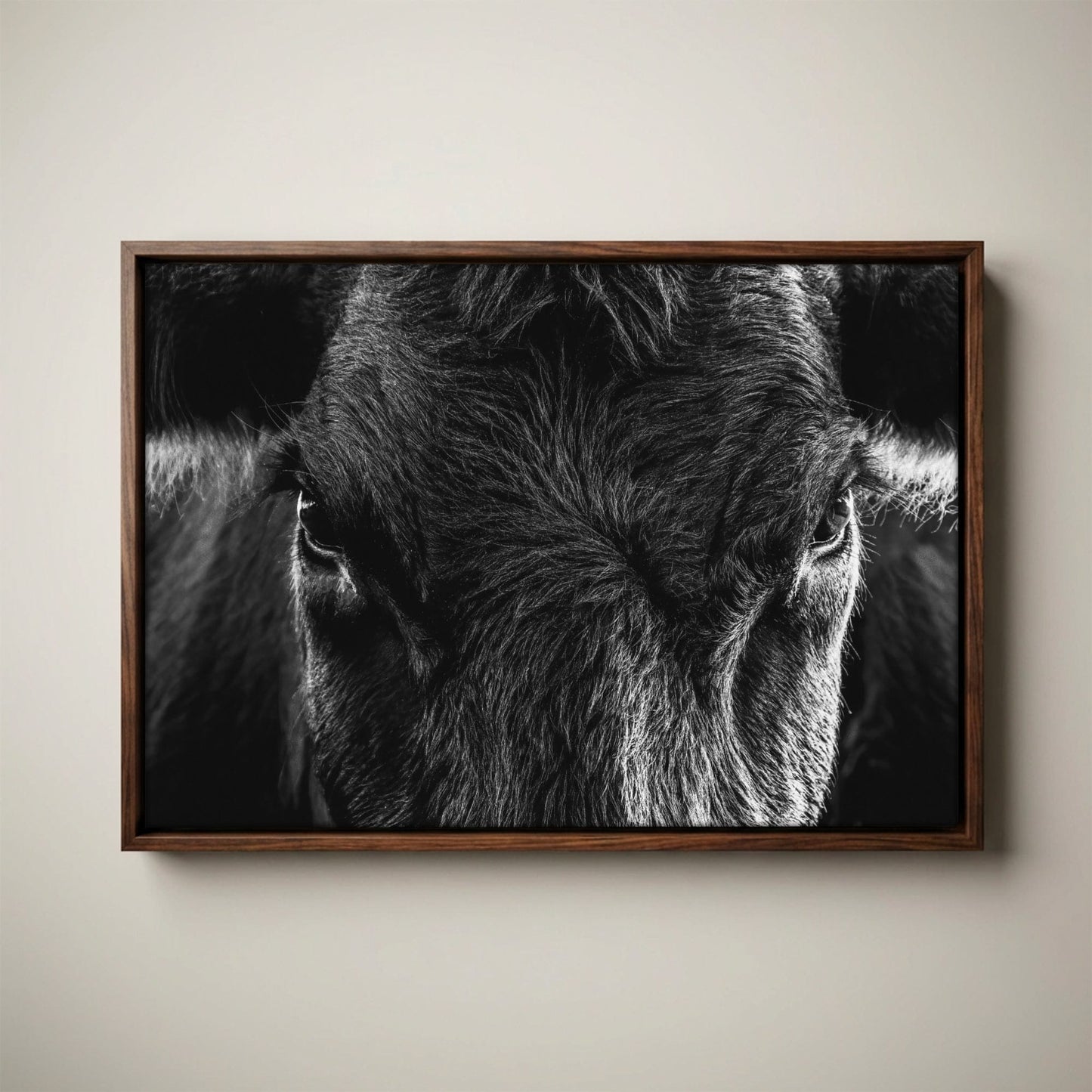 Black Angus Wall Art – Rustic Black and White Cow
