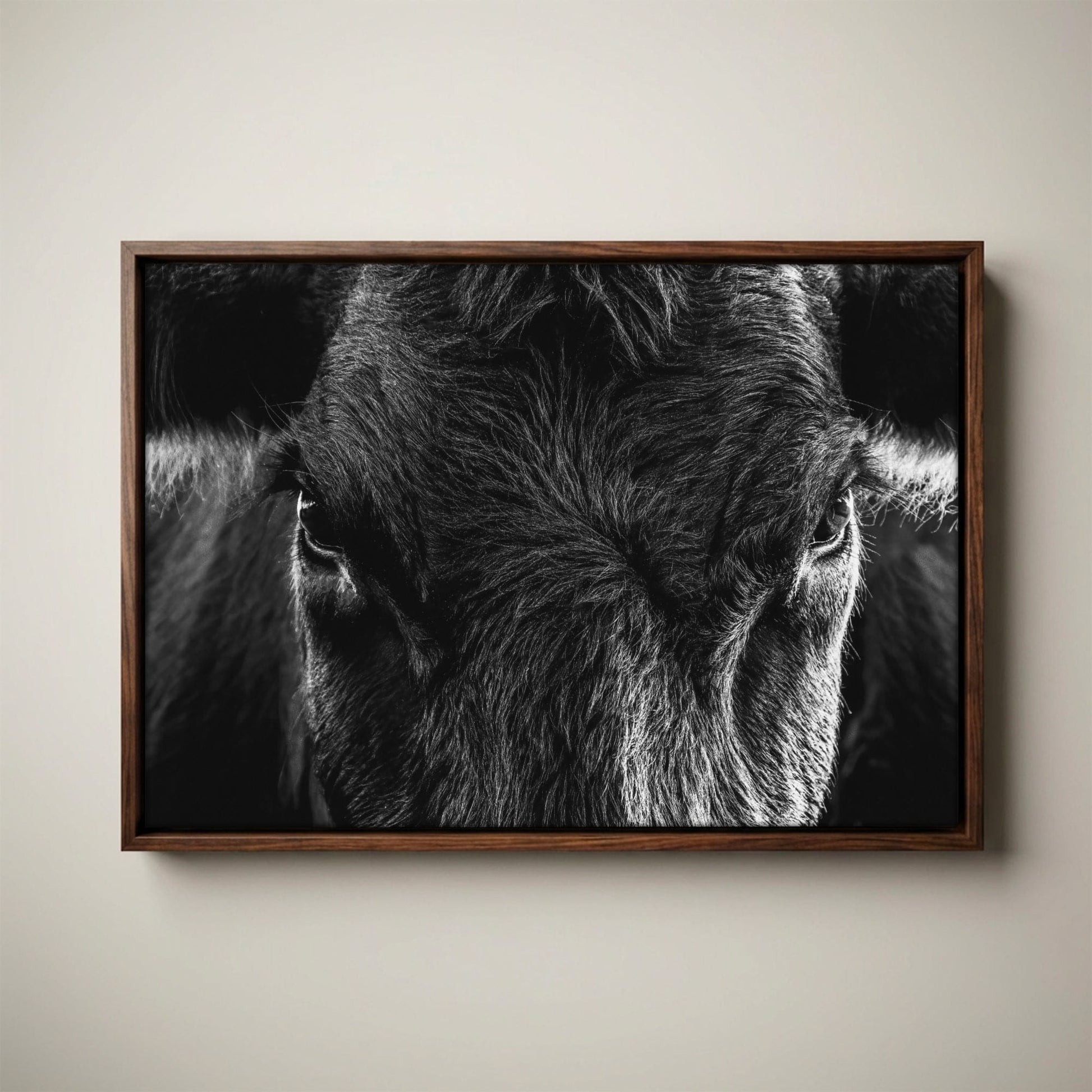 Black Angus Wall Art – Rustic Black and White Cow