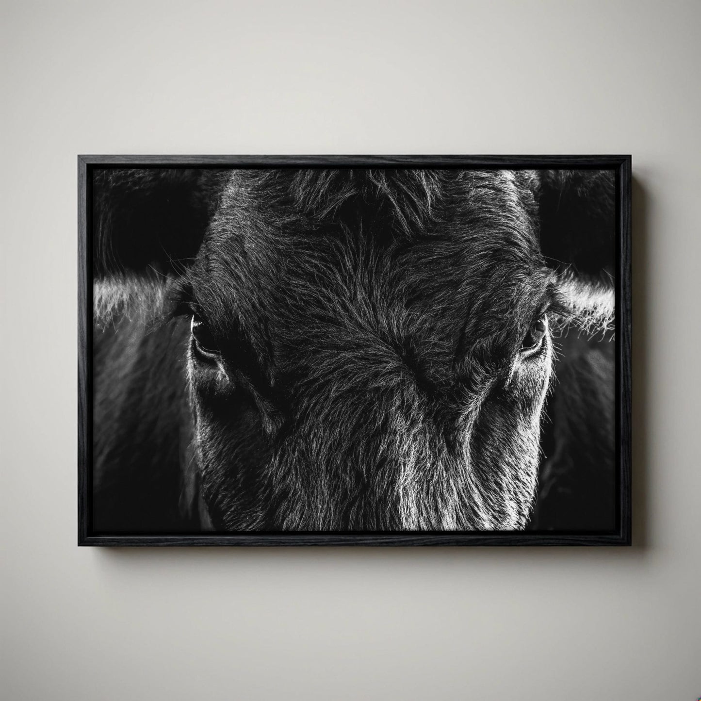 Black Angus Wall Art – Rustic Black and White Cow