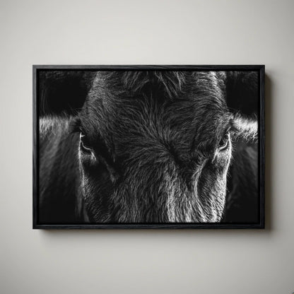Black Angus Wall Art – Rustic Black and White Cow