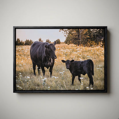 Black Angus Wall Art – Rustic Ranch Home Decor