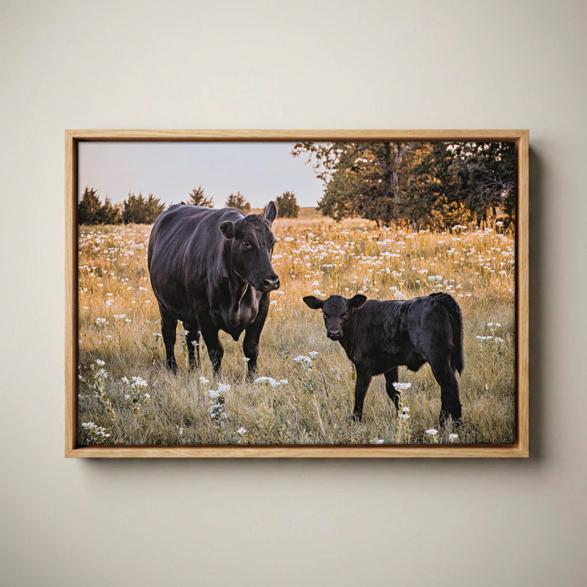 Black Angus Wall Art – Rustic Ranch Home Decor Canvas-Natural Oak Float Frame / 12 x 18 Inches