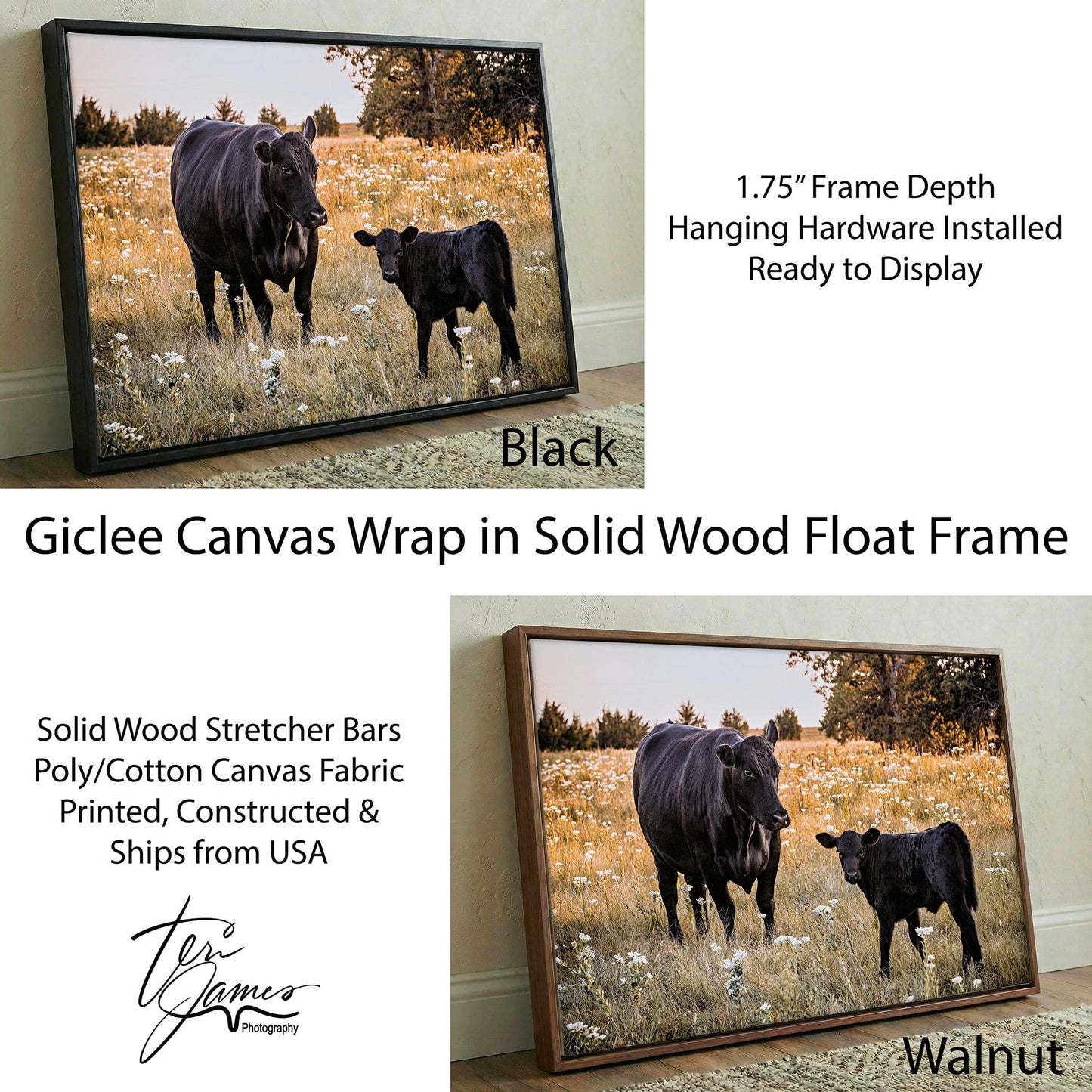 Black Angus Wall Art – Rustic Ranch Home Decor With Cow Photo Print Canvas-Black Frame / 12 x 18 Inches Wall Art Teri James Photography