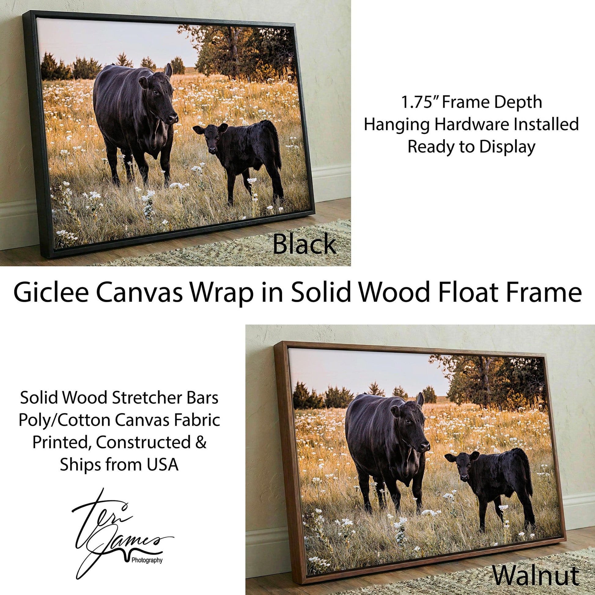 Black Angus Wall Art – Rustic Ranch Home Decor With Cow Photo Print Canvas-Black Frame / 12 x 18 Inches Wall Art Teri James Photography