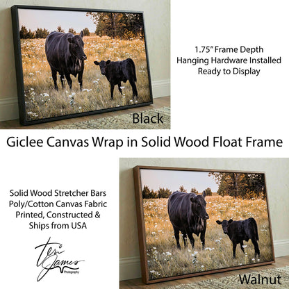 Black Angus Wall Art – Rustic Ranch Home Decor With Cow Photo Print Canvas-Black Frame / 12 x 18 Inches Wall Art Teri James Photography